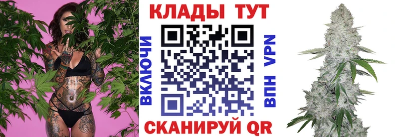 Где купить наркоту Егорьевск Галлюциногенные грибы  Cocaine  МЕФ  A PVP  Каннабис  ГАШИШ 