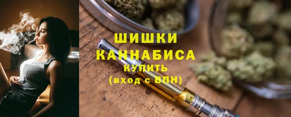 дживик Верхний Тагил