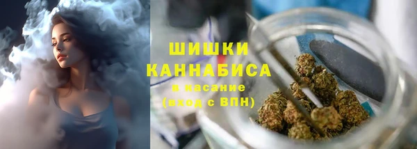 дживик Верхний Тагил