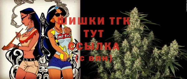 дживик Верхний Тагил