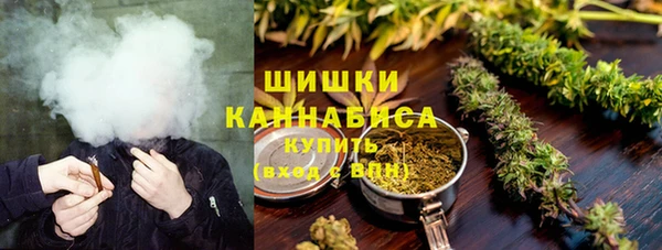 дживик Верхний Тагил