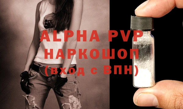 молекула духа Бронницы