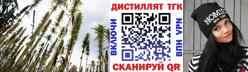 Дистиллят ТГК гашишное масло  Егорьевск 