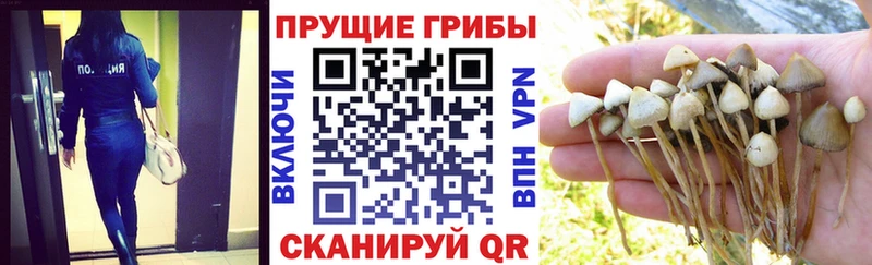 Псилоцибиновые грибы мухоморы  Егорьевск 